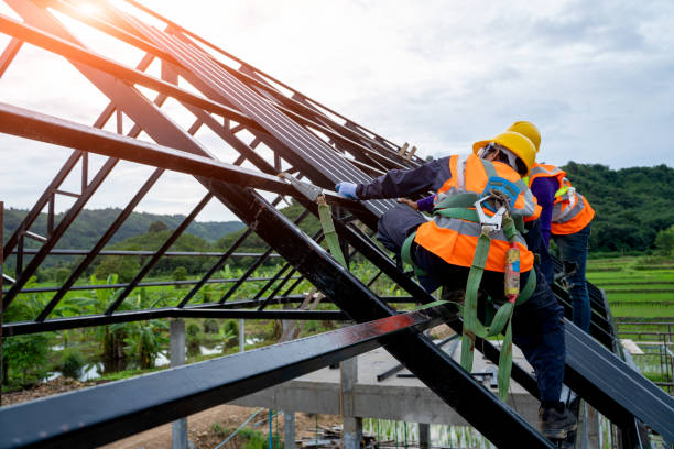 Best Metal Roofing Contractor  in Lapeer, MI