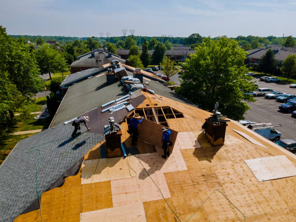 Quick and Trustworthy Emergency Roof Repair Services in Lapeer, MI