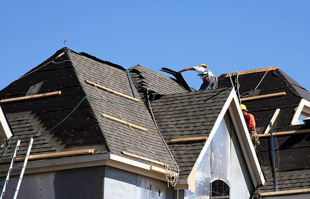 Best Emergency Roof Repair  in Lapeer, MI
