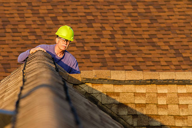 Best Roof Leak Repair  in Lapeer, MI