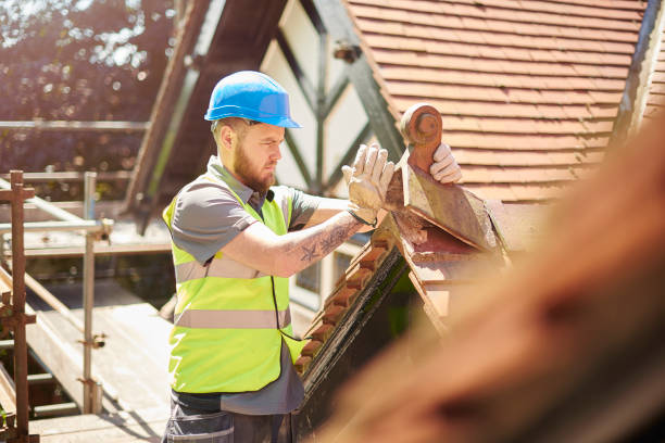 Best New Roof Installation  in Lapeer, MI