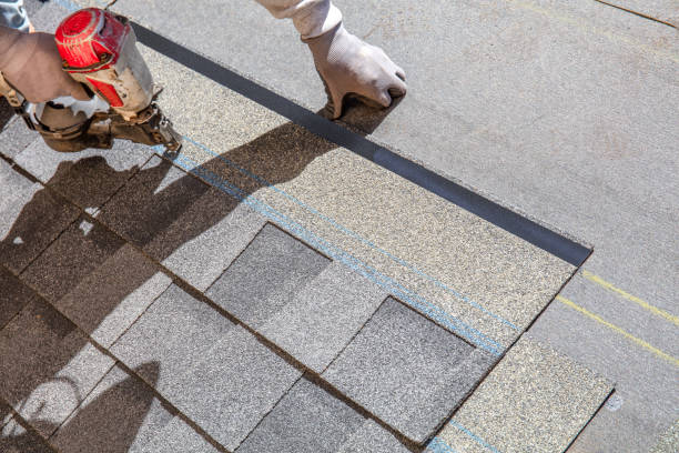 Best Roof Repair Services  in Lapeer, MI